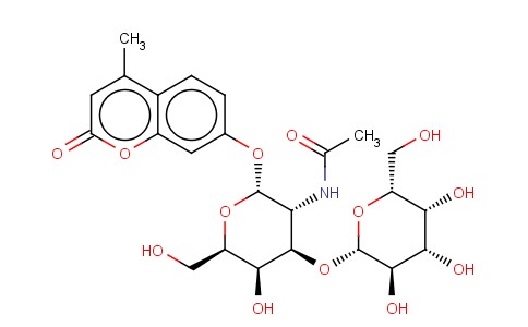 4-METHYLUMBELLIFERYL 2-ACETAMIDO-2-DEOXY-3-O-(BETA-D-GALACTOPYRANOSYL)-ALPHA-D-GALACTOPYRANOSIDE